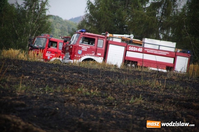 Zdjęcie w galerii na portalu naszwodzislaw.com: Kolejny pożar niedaleko Pszowa. W Rzuchowie paliło się ściernisko wiadomości z regionu