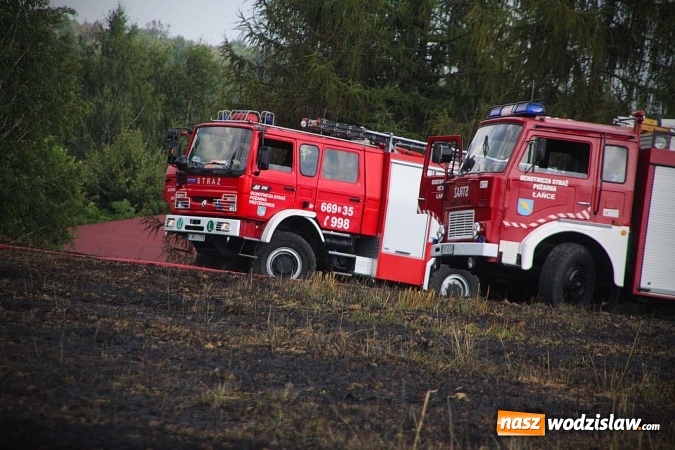 Zdjęcie w galerii na portalu naszwodzislaw.com: Kolejny pożar niedaleko Pszowa. W Rzuchowie paliło się ściernisko wiadomości z regionu