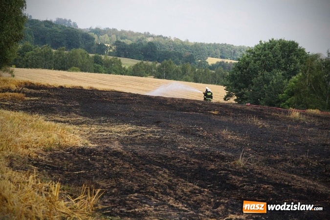 Zdjęcie w galerii na portalu naszwodzislaw.com: Kolejny pożar niedaleko Pszowa. W Rzuchowie paliło się ściernisko wiadomości z regionu