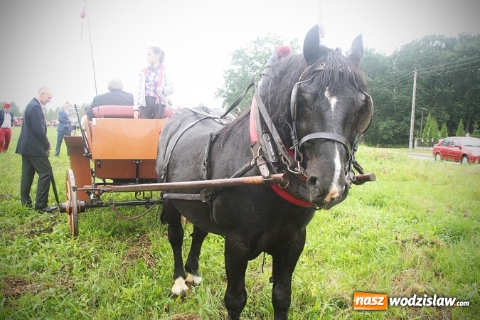 Zdjęcie w galerii na portalu naszwodzislaw.com: Maraton dożynkowy rozpoczęty. Godów na pierwszy ogień  wiadomości z regionu