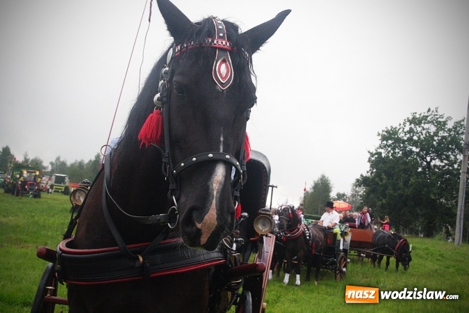 Zdjęcie w galerii na portalu naszwodzislaw.com: Maraton dożynkowy rozpoczęty. Godów na pierwszy ogień  wiadomości z regionu
