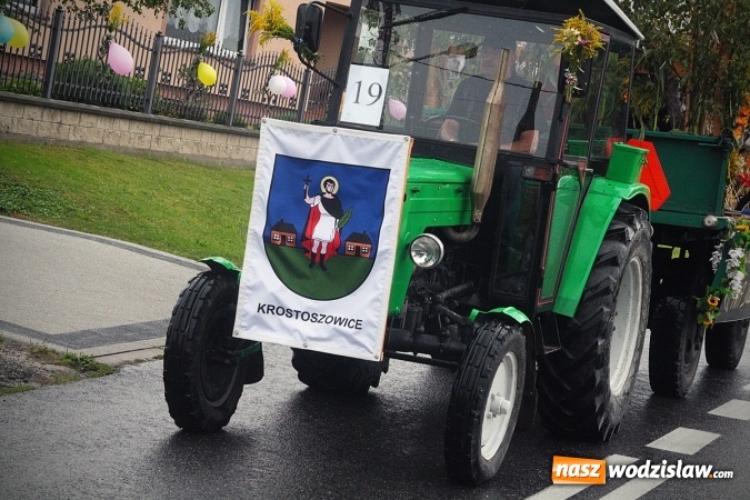 Zdjęcie w galerii na portalu naszwodzislaw.com: Maraton dożynkowy rozpoczęty. Godów na pierwszy ogień  wiadomości z regionu