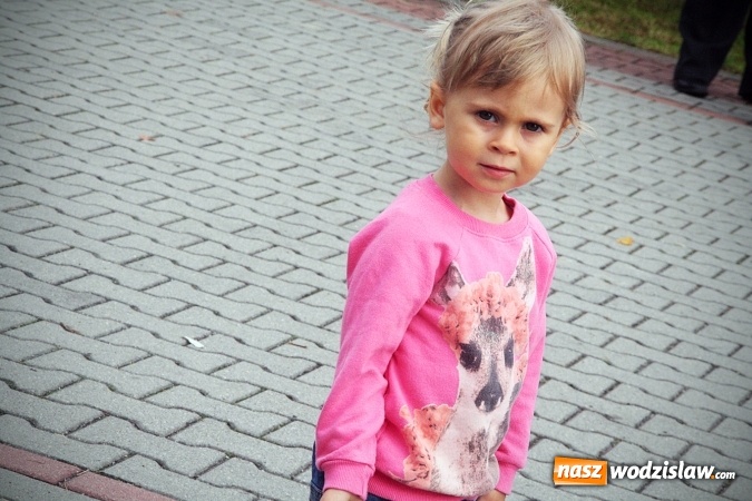 Zdjęcie w galerii na portalu naszwodzislaw.com: Pszów dziękuje za żniwa. FOTORELACJA  wiadomości z regionu