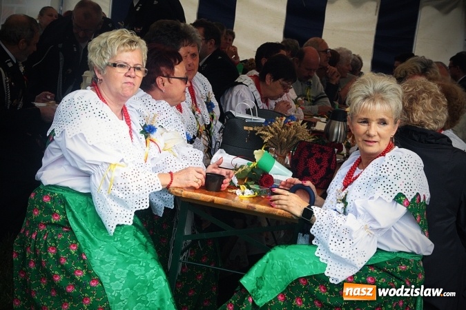 Zdjęcie w galerii na portalu naszwodzislaw.com: Pszów dziękuje za żniwa. FOTORELACJA  wiadomości z regionu