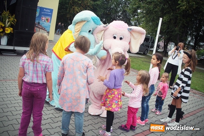 Zdjęcie w galerii na portalu naszwodzislaw.com: Pszów dziękuje za żniwa. FOTORELACJA  wiadomości z regionu