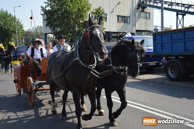 Zdjęcie w galerii na portalu naszwodzislaw.com: Ulicami Radlina przejechał barwny korowód dożynkowy wiadomości z regionu