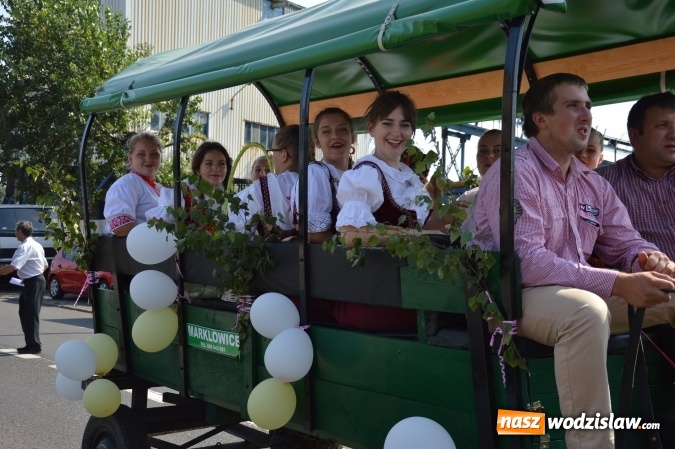 Zdjęcie w galerii na portalu naszwodzislaw.com: Ulicami Radlina przejechał barwny korowód dożynkowy wiadomości z regionu