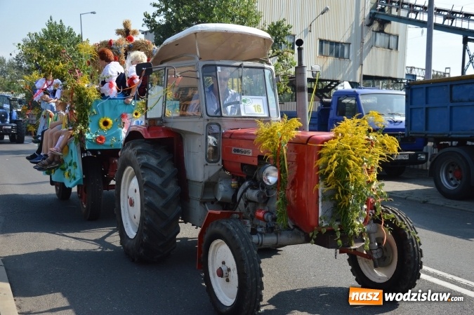 Zdjęcie w galerii na portalu naszwodzislaw.com: Ulicami Radlina przejechał barwny korowód dożynkowy wiadomości z regionu