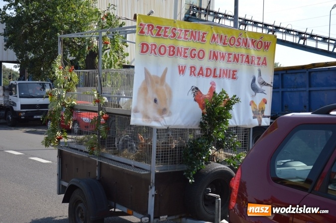 Zdjęcie w galerii na portalu naszwodzislaw.com: Ulicami Radlina przejechał barwny korowód dożynkowy wiadomości z regionu