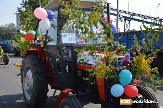 Zdjęcie w galerii na portalu naszwodzislaw.com: Ulicami Radlina przejechał barwny korowód dożynkowy wiadomości z regionu
