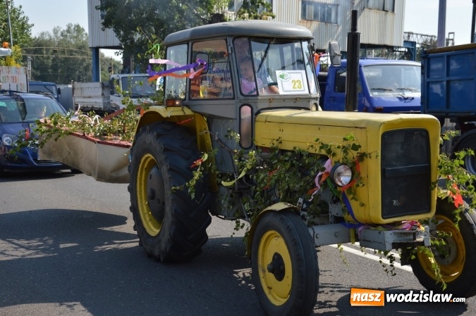 Zdjęcie w galerii na portalu naszwodzislaw.com: Ulicami Radlina przejechał barwny korowód dożynkowy wiadomości z regionu