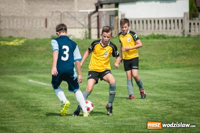 Zdjęcie w galerii na portalu naszwodzislaw.com: MKP Centrum i Naprzód Rydułtowy na Turnieju im. Zbigniewa Oszka w Raciborzu wiadomości z regionu