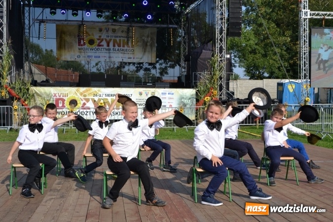 Zdjęcie w galerii na portalu naszwodzislaw.com: Dożynki wojewódzkie w Tworkowie - w sobotę rozpoczęła się zabawa wiadomości z regionu