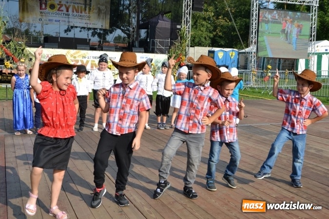 Zdjęcie w galerii na portalu naszwodzislaw.com: Dożynki wojewódzkie w Tworkowie - w sobotę rozpoczęła się zabawa wiadomości z regionu