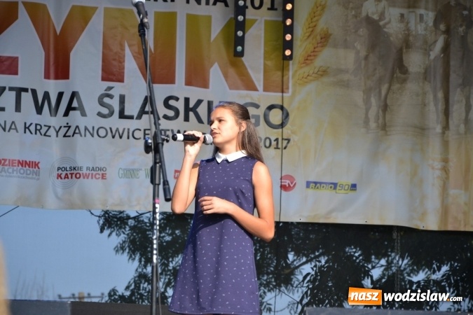 Zdjęcie w galerii na portalu naszwodzislaw.com: Dożynki wojewódzkie w Tworkowie - w sobotę rozpoczęła się zabawa wiadomości z regionu