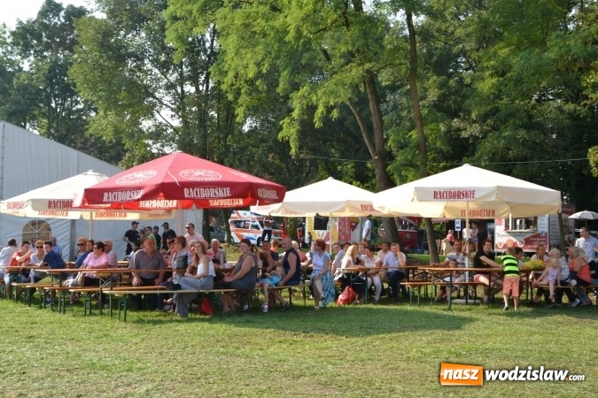 Zdjęcie w galerii na portalu naszwodzislaw.com: Dożynki wojewódzkie w Tworkowie - w sobotę rozpoczęła się zabawa wiadomości z regionu