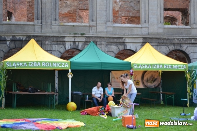 Zdjęcie w galerii na portalu naszwodzislaw.com: Dożynki wojewódzkie w Tworkowie - w sobotę rozpoczęła się zabawa wiadomości z regionu