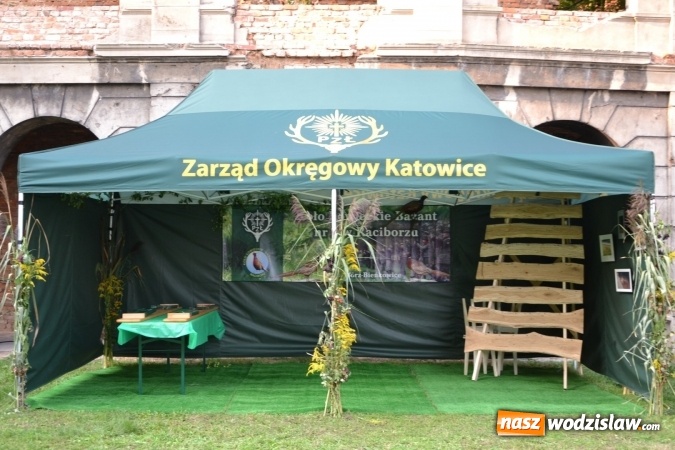 Zdjęcie w galerii na portalu naszwodzislaw.com: Dożynki wojewódzkie w Tworkowie - w sobotę rozpoczęła się zabawa wiadomości z regionu