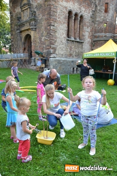 Zdjęcie w galerii na portalu naszwodzislaw.com: Dożynki wojewódzkie w Tworkowie - w sobotę rozpoczęła się zabawa wiadomości z regionu