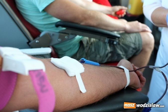 Zdjęcie w galerii na portalu naszwodzislaw.com: IV Rydułtowska Wampiriada. Zebrano ponad 13 litrów krwi  wiadomości z regionu