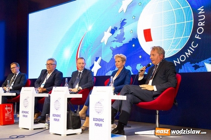 Zdjęcie w galerii na portalu naszwodzislaw.com: Jak skutecznie rozwiązać problem SMOGU?  wiadomości z regionu