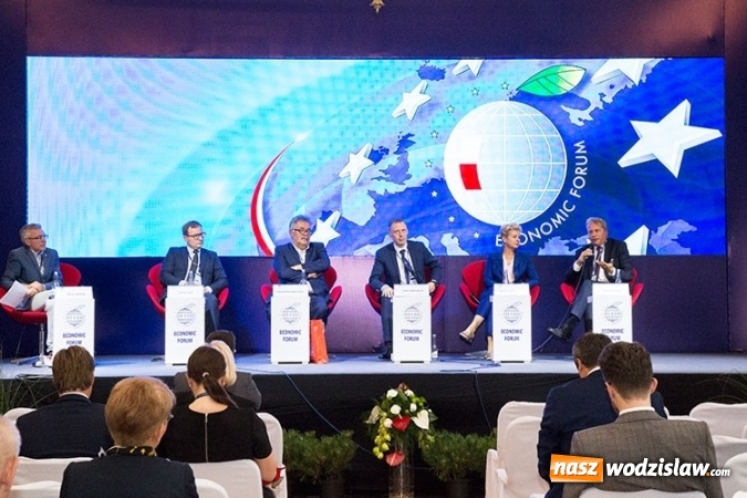 Zdjęcie w galerii na portalu naszwodzislaw.com: Jak skutecznie rozwiązać problem SMOGU?  wiadomości z regionu