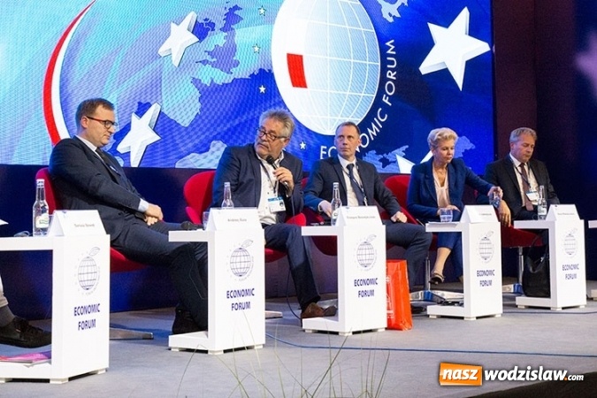 Zdjęcie w galerii na portalu naszwodzislaw.com: Jak skutecznie rozwiązać problem SMOGU?  wiadomości z regionu