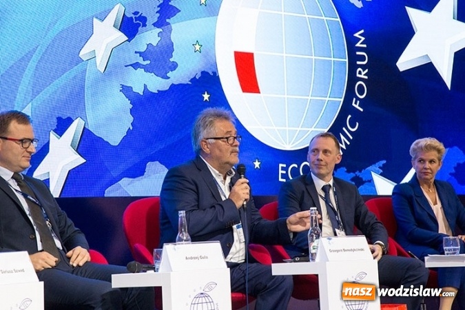 Zdjęcie w galerii na portalu naszwodzislaw.com: Jak skutecznie rozwiązać problem SMOGU?  wiadomości z regionu