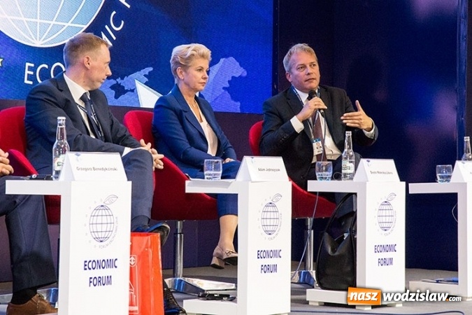 Zdjęcie w galerii na portalu naszwodzislaw.com: Jak skutecznie rozwiązać problem SMOGU?  wiadomości z regionu