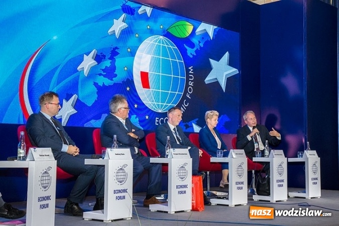 Zdjęcie w galerii na portalu naszwodzislaw.com: Jak skutecznie rozwiązać problem SMOGU?  wiadomości z regionu