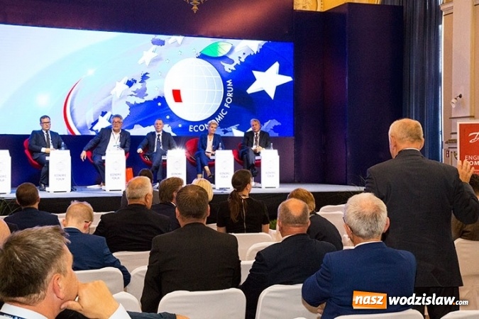 Zdjęcie w galerii na portalu naszwodzislaw.com: Jak skutecznie rozwiązać problem SMOGU?  wiadomości z regionu