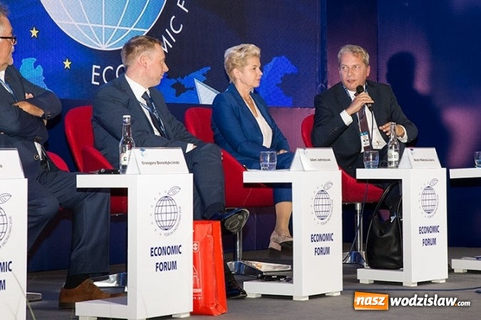 Zdjęcie w galerii na portalu naszwodzislaw.com: Jak skutecznie rozwiązać problem SMOGU?  wiadomości z regionu