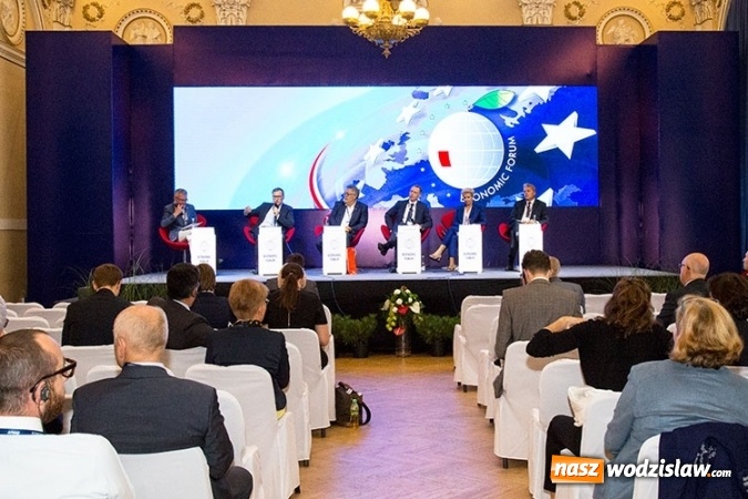 Zdjęcie w galerii na portalu naszwodzislaw.com: Jak skutecznie rozwiązać problem SMOGU?  wiadomości z regionu