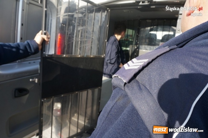 Zdjęcie w galerii na portalu naszwodzislaw.com: Rybniccy policjanci rozbili grupę handlującą dopalaczami wiadomości z regionu