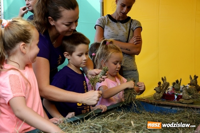 Zdjęcie w galerii na portalu naszwodzislaw.com: Rodzinny Festyn Integracyjny na Trzech Wzgórzach. ZDJĘCIA  wiadomości z regionu
