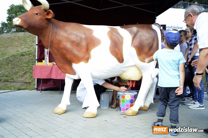 Zdjęcie w galerii na portalu naszwodzislaw.com: Rodzinny Festyn Integracyjny na Trzech Wzgórzach. ZDJĘCIA  wiadomości z regionu