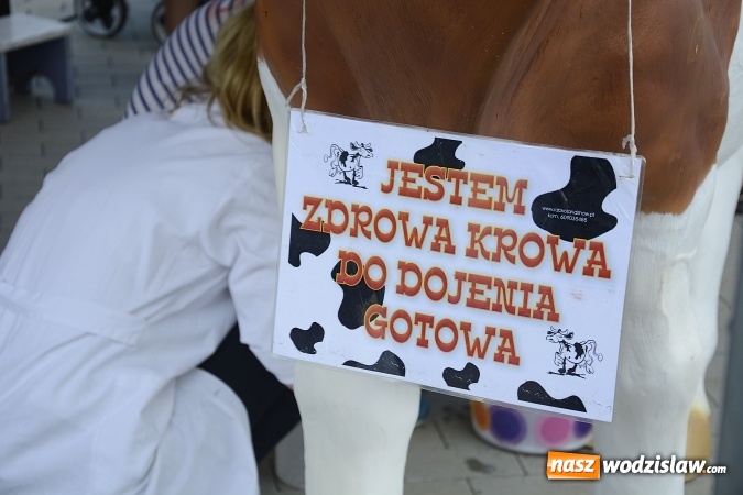 Zdjęcie w galerii na portalu naszwodzislaw.com: Rodzinny Festyn Integracyjny na Trzech Wzgórzach. ZDJĘCIA  wiadomości z regionu