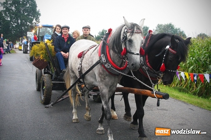 Zdjęcie w galerii na portalu naszwodzislaw.com: Koniec żniw, rolnicy świętują. Gorzyce zamykają maraton dożynkowy. ZDJĘCIA  wiadomości z regionu