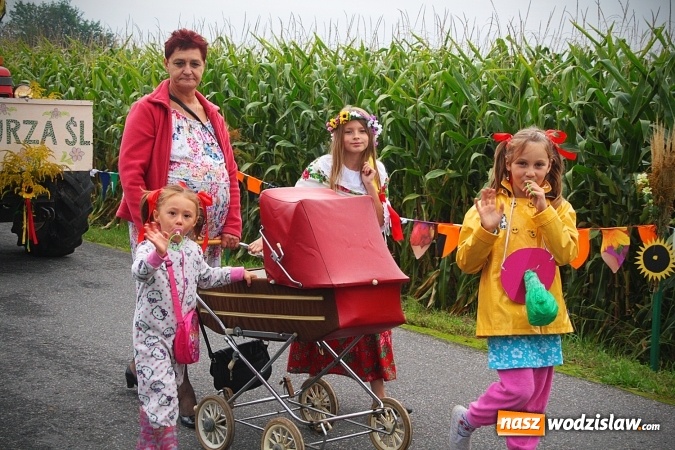 Zdjęcie w galerii na portalu naszwodzislaw.com: Koniec żniw, rolnicy świętują. Gorzyce zamykają maraton dożynkowy. ZDJĘCIA  wiadomości z regionu
