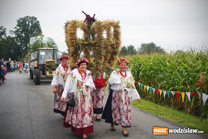 Zdjęcie w galerii na portalu naszwodzislaw.com: Koniec żniw, rolnicy świętują. Gorzyce zamykają maraton dożynkowy. ZDJĘCIA  wiadomości z regionu
