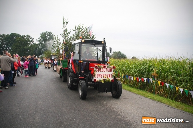 Zdjęcie w galerii na portalu naszwodzislaw.com: Koniec żniw, rolnicy świętują. Gorzyce zamykają maraton dożynkowy. ZDJĘCIA  wiadomości z regionu