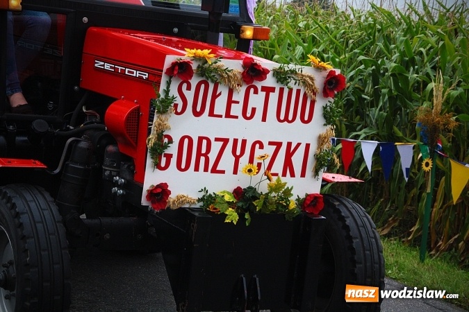 Zdjęcie w galerii na portalu naszwodzislaw.com: Koniec żniw, rolnicy świętują. Gorzyce zamykają maraton dożynkowy. ZDJĘCIA  wiadomości z regionu