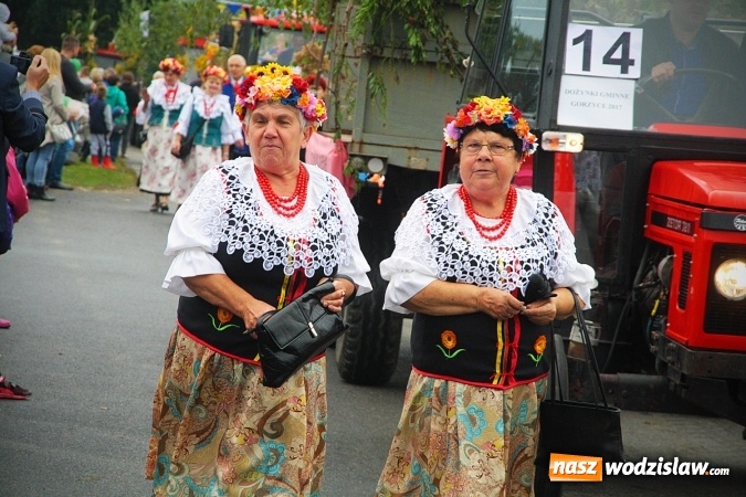 Zdjęcie w galerii na portalu naszwodzislaw.com: Koniec żniw, rolnicy świętują. Gorzyce zamykają maraton dożynkowy. ZDJĘCIA  wiadomości z regionu