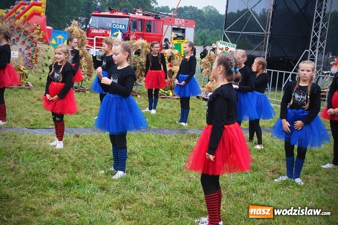Zdjęcie w galerii na portalu naszwodzislaw.com: Koniec żniw, rolnicy świętują. Gorzyce zamykają maraton dożynkowy. ZDJĘCIA  wiadomości z regionu
