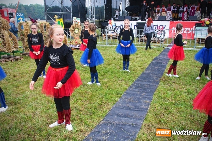 Zdjęcie w galerii na portalu naszwodzislaw.com: Koniec żniw, rolnicy świętują. Gorzyce zamykają maraton dożynkowy. ZDJĘCIA  wiadomości z regionu