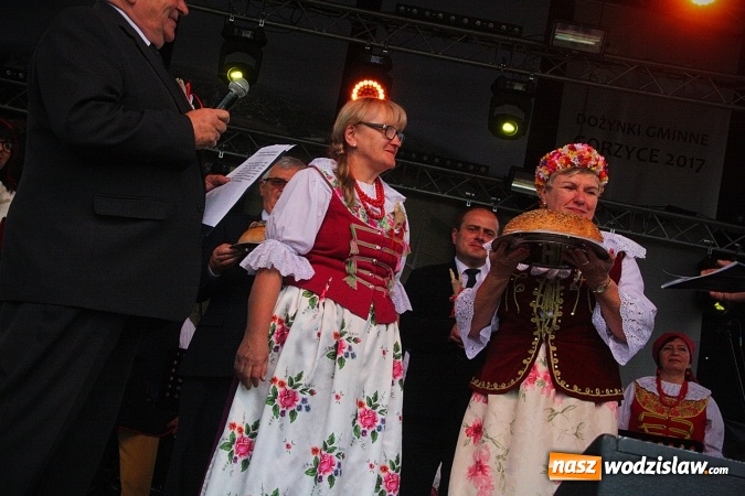 Zdjęcie w galerii na portalu naszwodzislaw.com: Koniec żniw, rolnicy świętują. Gorzyce zamykają maraton dożynkowy. ZDJĘCIA  wiadomości z regionu