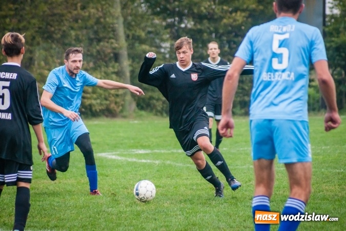 Zdjęcie w galerii na portalu naszwodzislaw.com: Wicher Płonia wstał z kolan i pokonał lidera z Bełsznicy wiadomości z regionu