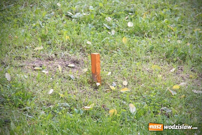 Zdjęcie w galerii na portalu naszwodzislaw.com: Mieszkańcy XXX-lecia się burzą: Nie chcemy ogromnego śmietnika pod blokiem  wiadomości z regionu