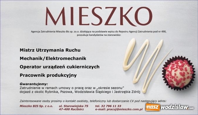 Zdjęcie w galerii na portalu naszwodzislaw.com: Wystartuj ze swoim CV zanim zrobią to inni! Sprawdź najciekawsze oferty pracy w regionie wiadomości z regionu