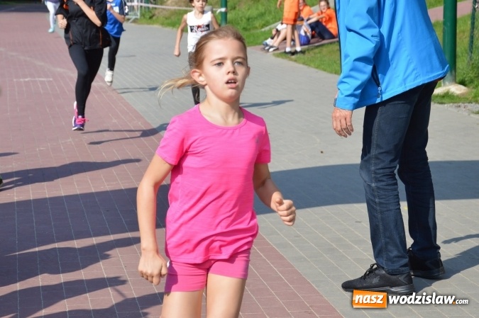 Zdjęcie w galerii na portalu naszwodzislaw.com: Ćwierćwiecze Biegu Gazety Wodzisławskiej. Za nami jubileuszowa edycja. Na starcie stanęło 350 osób wiadomości z regionu